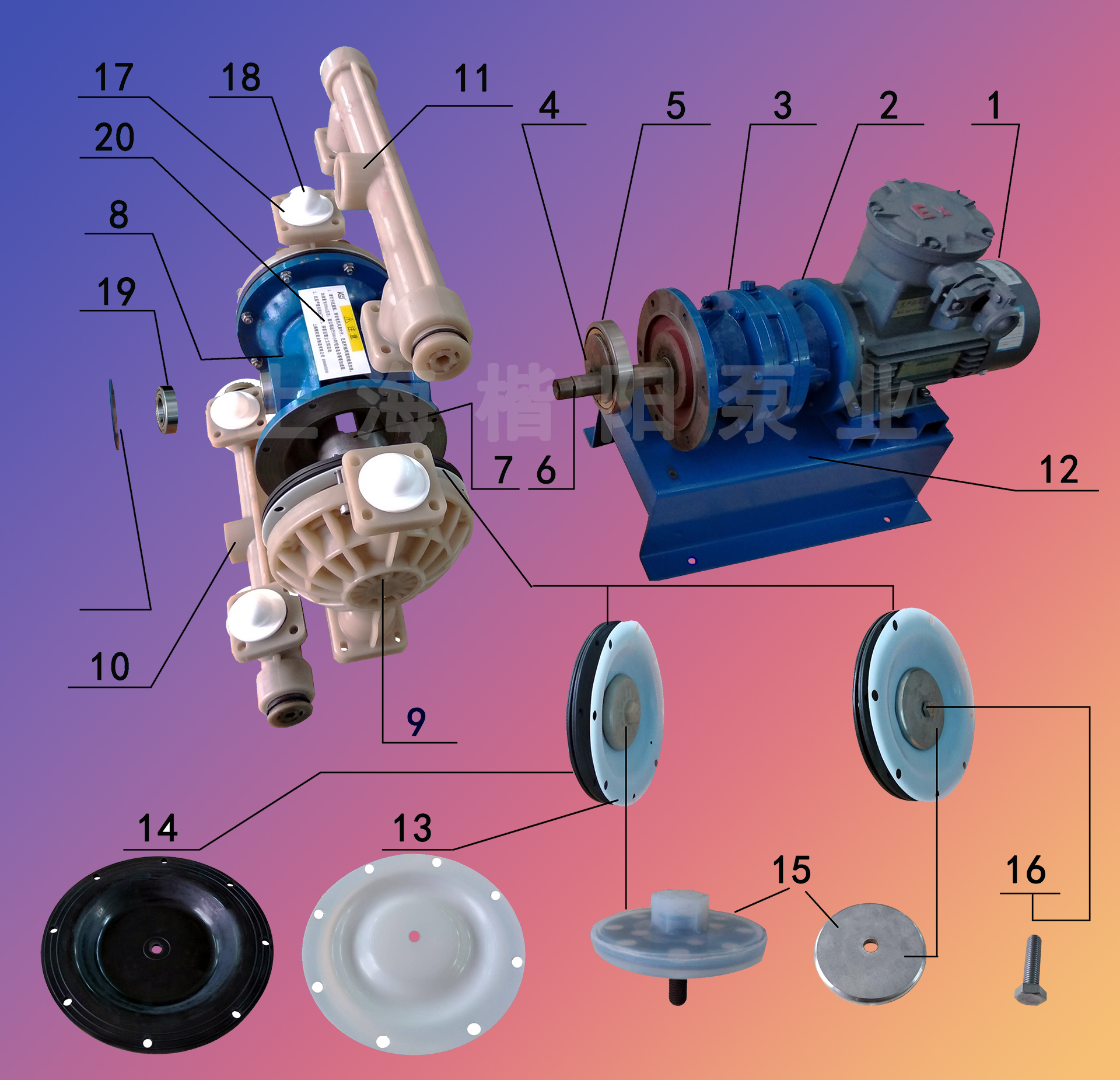 電動(dòng)隔膜泵維護(hù)內(nèi)容1