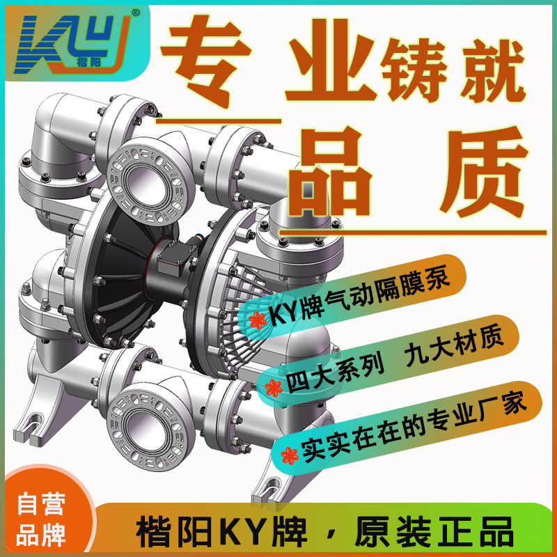 KYQ100LS塑料氣動(dòng)隔膜泵2